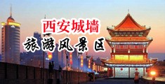 性感美女脱光光被操淫水中国陕西-西安城墙旅游风景区